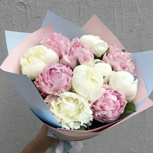 11 assorted peonies